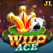 Wild Ace on CrazyWingo
